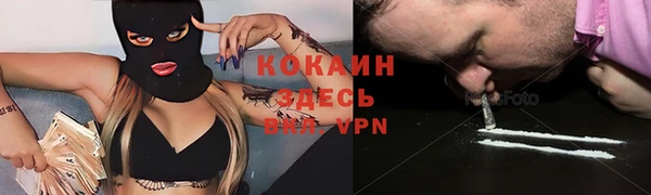 мяу мяу мука Аркадак