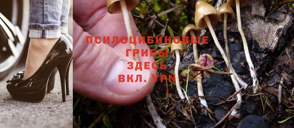 мяу мяу мука Аркадак
