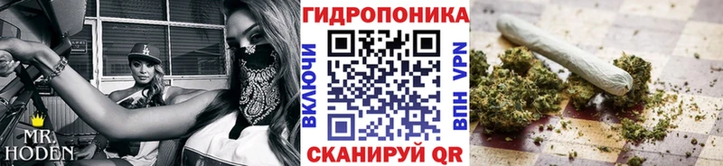 маркетплейс какой сайт  купить   Осинники  Шишки марихуана Ganja 